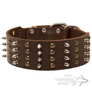 Extra Wide Leather Dog Collar with Nickel Spikes and Brass Studs