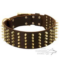 Spiked Leather Collar for Dogs, Extra Wide, Goldish Brass Barbs