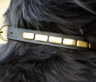 Fashion Dog Collar Necklace Style for Newfoundland Daily Walks