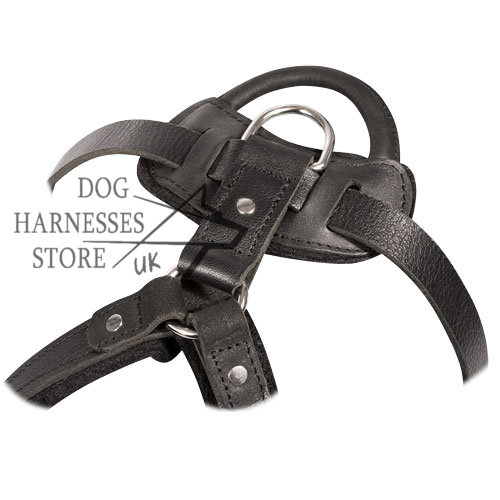 Leather Agitation Dog Harness