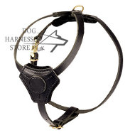 Padded Dog
Harness UK to Walk Puppies and Small Breeds➨