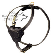 Padded Dog
Harness UK to Walk Puppies and Small Breeds➨