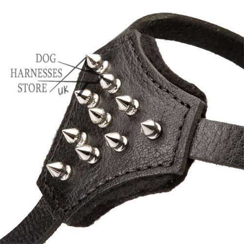 Little Dog Harness