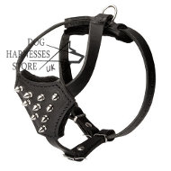 Designer Spiked and Padded Walking Dog Harness for Small
Dogs