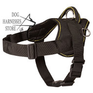 Nylon multi-purpose dog harness for tracking/pulling,
Bestseller