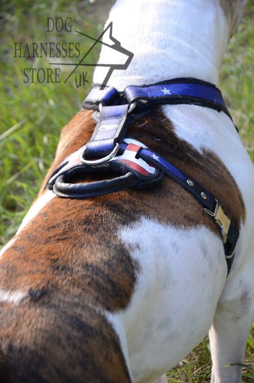 Handmade Dog Harness for American Bulldog in USA Style