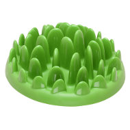 Green Dog Feeder