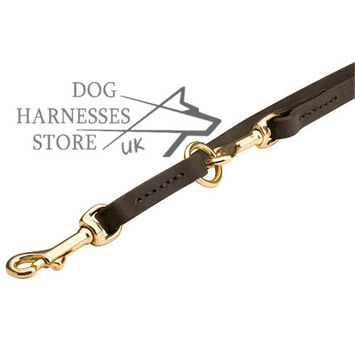 Long Leather Dog leash