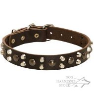 Leather Dog Collar with Brass Studs and Nickel-Plated Pyramids