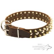 Leather Dog Collar with Exclusive Decoration, Spikes and Studs