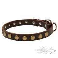 Leather Dog Collar of Narrow Width with Row of Round Brass Studs