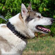 Leather Dog Collar with 2 Rows of Nickel-Plated Spikes for Husky