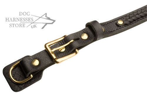 Adjustable dog collar with quick-released buckle