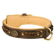 Luxury Dog Collar Nappa Padded, Brown Leather, Royal Design