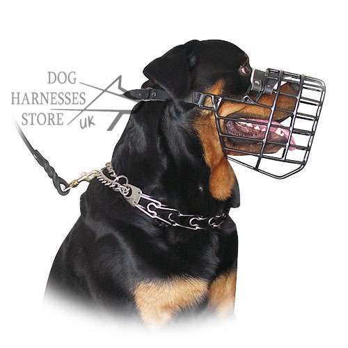 Basket Dog Muzzle 