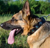 Modern Dog Collar with Studs and Blue Stones for German Shepherd