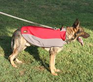 Waterproof Nylon Coat for Dogs