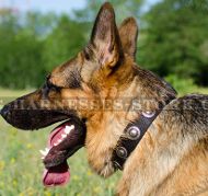 Nylon Dog Collar with Vintage Silver Conchos for German Shepherd