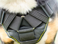 Swiss Mountain Dog Harness of Nylon with Cushioned Chest Plate