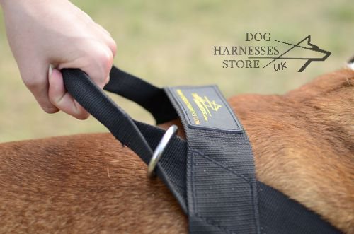 British Bulldog Harnesses UK