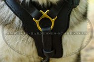 Padded Leather Dog Harness for Husky, Large UK
