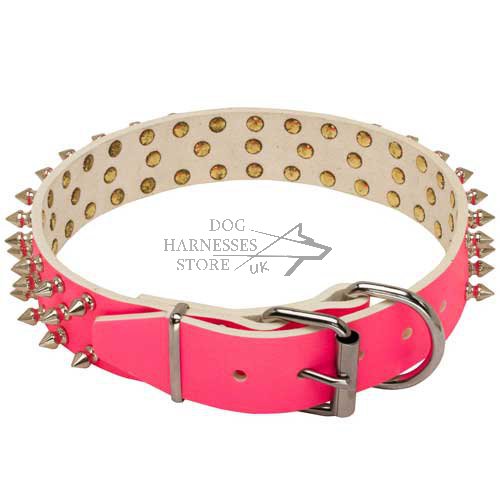 Pink Spiked Dog Collar for Female Canine £49.10