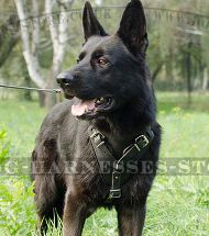 GSD Harness