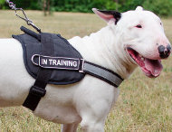 Reflective Dog Harness