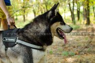 Reflective Dog Harness
for Husky | Husky Harness UK with Patches