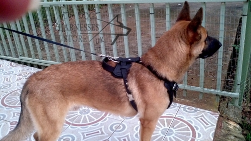 Agitation leather
dog harness, black