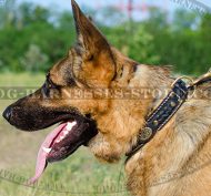 Royal Dog Collar for German Shepherd, Soft Padded Leather