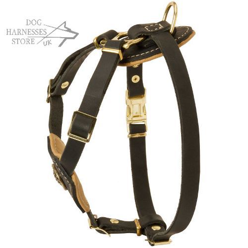 padded harness royal harness bulldog harness 163 51 90 padded harness royal harness bulldog harness 163 51 90