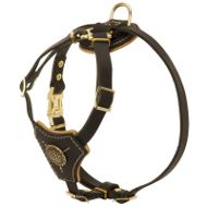 Padded
Dog Harness in UK for Small Breeds and Puppies ❺