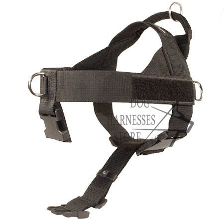 Nylon Harness  with Patches for Terrier