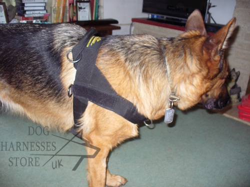Adjustable Dog Harness for German Shepherd UK