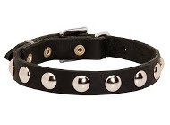 Studded Dog Collar Leather for Little Breeds and Puppies Walking