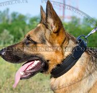 Soft Dog Collar for German Shepherd, Padded Leather