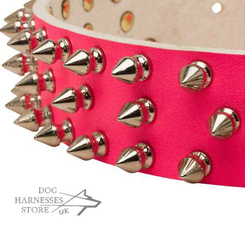 Pink Spiked Dog Collar for Female Canine £49.10