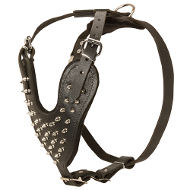Dog Walking Harness with Spikes UK