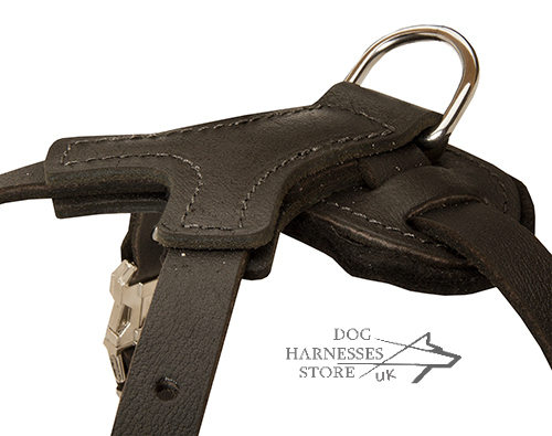 Spiked Leather Dog Harness