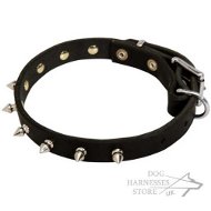 Leather Spiked Dog Collar UK for Puppies and Medium Breeds