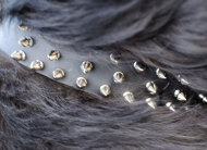 Spiked Leather Dog Collar for Newfoundland Walks in Style