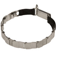 Neck Tech Dog Collar by Herm Sprenger of Stainless Steel