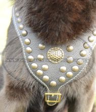 Luxury Dog Harness Studded and Padded Chest for German Shepherd