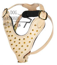 Dog Harness with Chick Brass Spikes Design