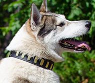 Trendy Dog Collar for Husky with Brass Style Necklace