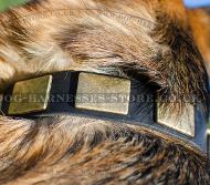 Wide Leather Dog Collar with Brass Plates for German Shepherd