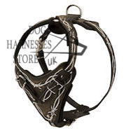 "Barbed Wire" Hand Painted Leather Dog Harness
