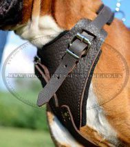 Attack, Agitation Leather Dog Harness for German Boxer