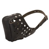 Agitation Training Dog Muzzle Leather with Front Reinforcement